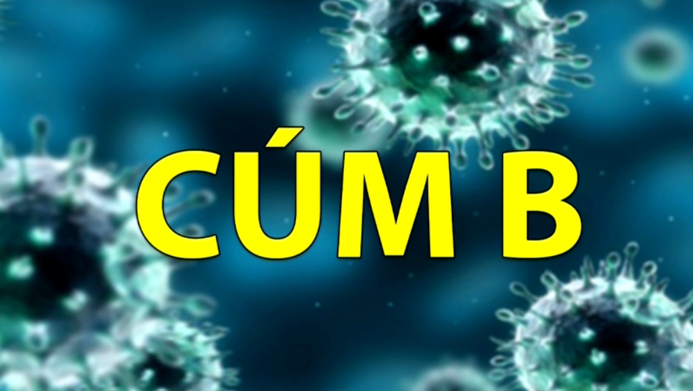 Chuyên gia chỉ dẫn 8 thông tin về bệnh cúm B cha mẹ cần biết